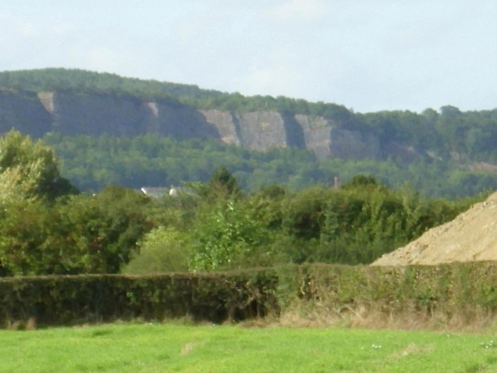 Ty Llew Hotel Llandysilio Quarto foto